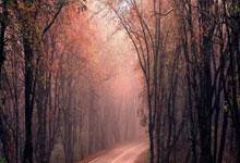 东升国际官网：记者：库尔图瓦仍在恢复肌肉伤病，可能缺战莱加内斯.