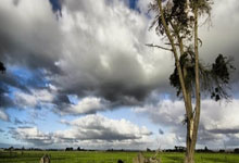 东升国际官网：观战台：马竞巴萨争西甲榜首+枪手火拼蓝军 利物浦冲冠.