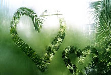 东升国际官网：[NBA]文森特传球失误 布朗抢断反击双手灌筐.